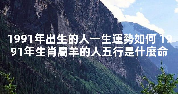 1991年出生的人一生運勢如何 1991年生肖屬羊的人五行是什麼命